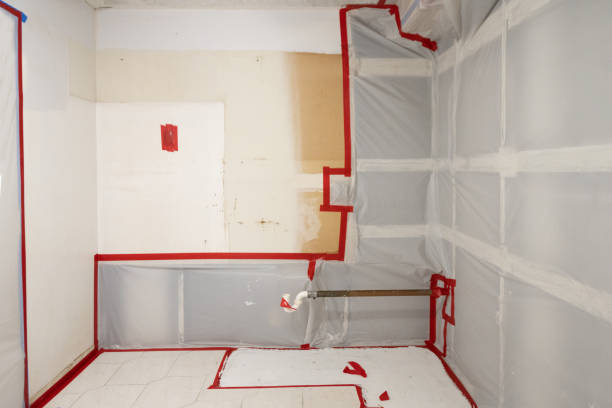 Best Mold Odor Removal Services  in Nashua, NH