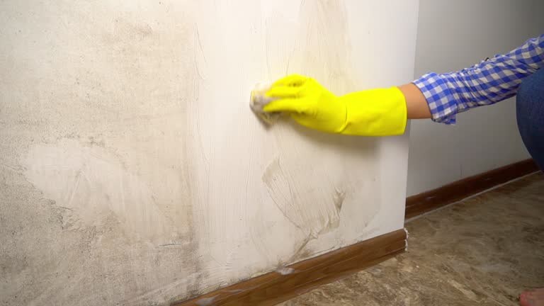 Best Residential Mold Inspection & Testing  in Nashua, NH